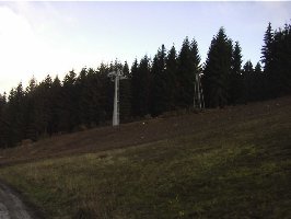 Stütze neben den letzten Bäumen die se stehen gelassen haben