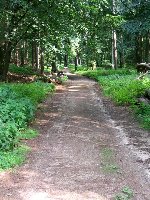 Ein schöner Ausflug bei herrlichem Wetter. Der Weg ist das Ziel.