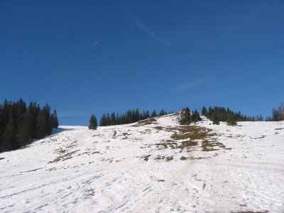 Schade, dass man hier nicht eine konzertierte Aktion ergriffen hat - unternehmerische Kleingeisterei würde Pause sagen...