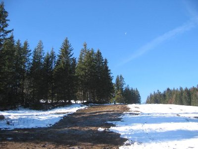 Der Graben der Schneileitung im Flachstück der &amp;quot;Lyra&amp;quot;. Der Schnee ist hier relativ fest, ein paar Skitourengeher sind bereits unterwegs. Keine schlechte Unterlage.