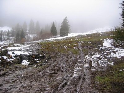 Warum ist man so spät dran mit diesen Arbeiten? Über den Sommer hätte das wieder gut zuwachsen können...