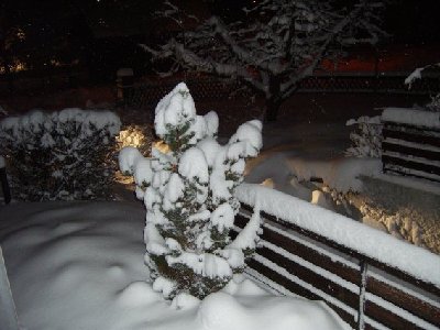 So sah es bei uns am 3. März 2006 aus.