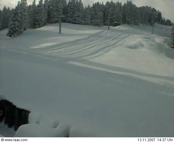 Curnius wird auch präpariert