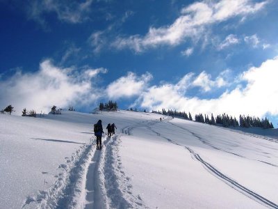 Gipfelanstieg zum Rauhkopf. Ist steiler als hier zu sehen.