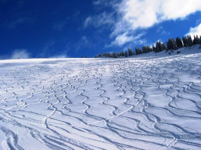 Der Paradehang am Rauhkopf schlechthin - Weltklasse! (sind da leider aber nicht runtergefahren)