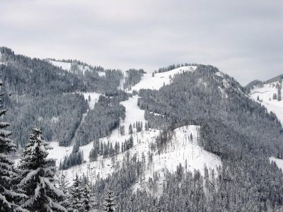 Blick hinüber zu Stümpfling und Lyra. In dem Kahlschlag unten könnten sie egtl die Piste noch erweitern...