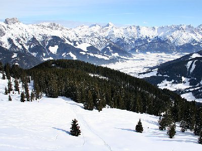 Probieren geht über studieren...