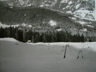 Schrattenwang-SL am Söllereck - lebt noch!