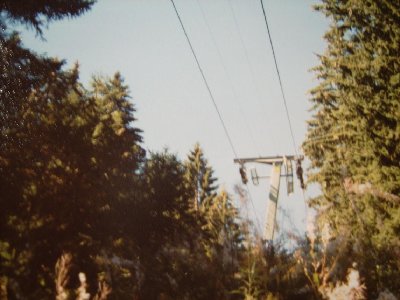Der anschließende, zieml. steile Höflelift (hat eine lange Waldschneise hinterlassen)