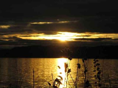 ein nicht alpines Bild  Berg am Starnberger See mit Blick gegen Westufer