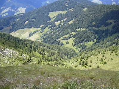 Blick auf 'Fraina' Hang