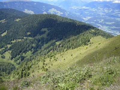 Blick auf 'Fraina' Hang