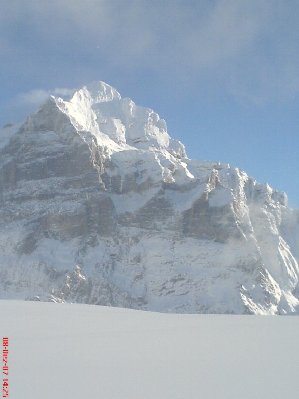 Einfach ein Traum - das Wetterhorn