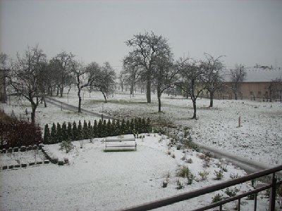 Blick aus meinem Zimmer bzw. Balkon: