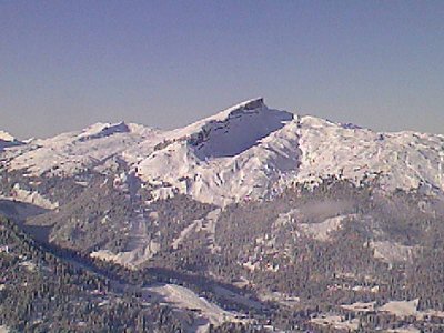 Blick zum hohen Ifen...auch hier bis aufs Kellerloch alles geöffnet....Wann das letzte Mal um diese Jahreszeit??????