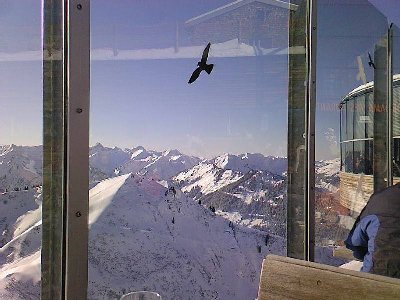 Blick zum Walmendingerhorn