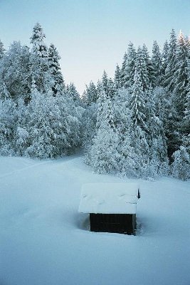 Hier könnte die Talstation gewesen sein...