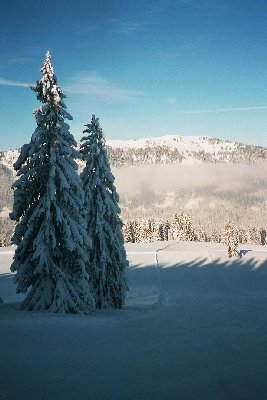 Auf der Märchenwiese, oberes Stück
