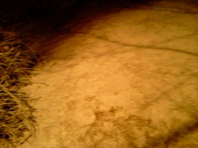 Die Wiese war danach ziemlich schneebedeckt.