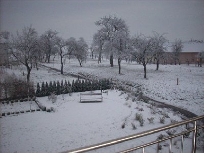 Blick aus meinem Zimmer bzw. Balkon: