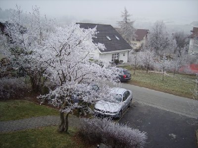 Ein Blick aus dem Fenster verriet nur eines: Frost