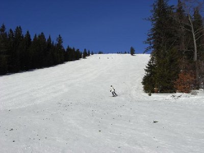 Hüttenhang, rechts im Hintergrund der 1.342 m hohe Gipfel des Unterbergs