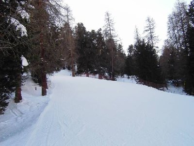 Der untere Teil der Piste führt durch den Wald.