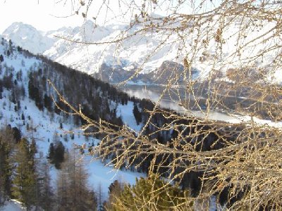 Auch die Silser Talabfahrt (Prasüra) ist sehr idyllisch und führt durch den Wald.