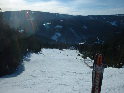 Blick von der Kressbachalmhütte über den Kressbachhang talwärts
