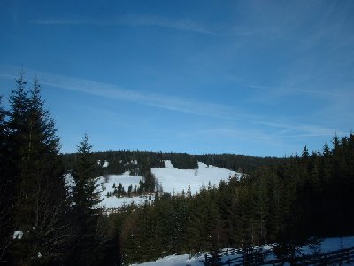 Die breite sonnige Wiese vom Thonhoferlift