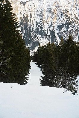 Trasse von oben geknipst...