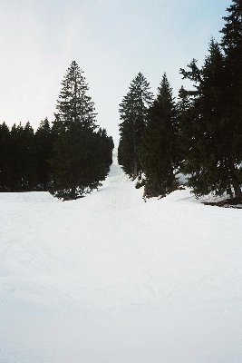 Trasse des abgebauten Höflelifts