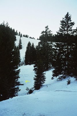 Fundamentreste im Graben - vmtl. stand hier die Bergstation