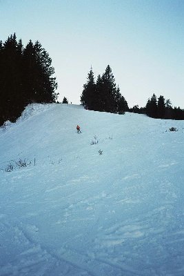 Weitere Trasse des alten Grfhb.-Lifts (jetzt Piste zw. den Bäumen)