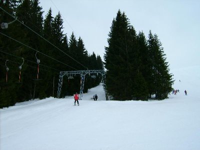 Am Schluss geht es noch durch die Wald...