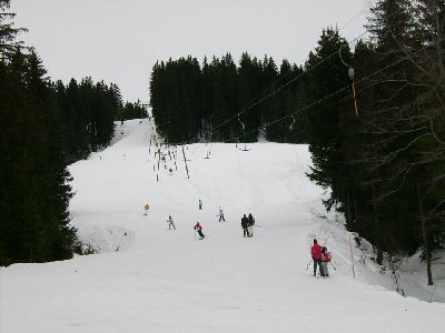 Obererer Bereich, wo die Piste noch voll OK war (unten nur noch braun!)