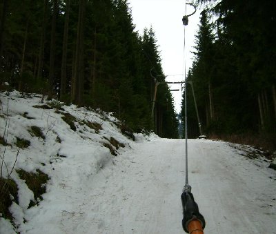 Fahrt durch den Wald...