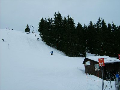 Trasse Gipfellift von unten mit Piste links
