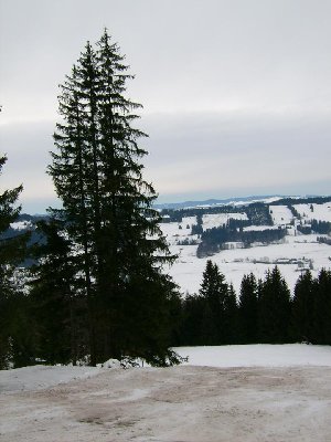Am Breitenstein wurde es unten auch schon braun - ober war's aber super