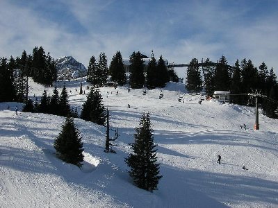 Kreuzalm mit den geländeangepaßten Abfahrten, nur wieder einmal zu kurz