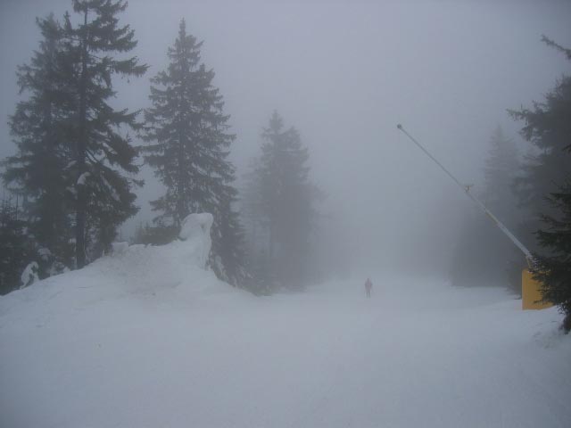 Unterwegs viele Lanzen, die augrund der recht schmalen Piste im oberen Bereich (reicht aber bei einer 2er KSB locker) den Wald mitversorgen...