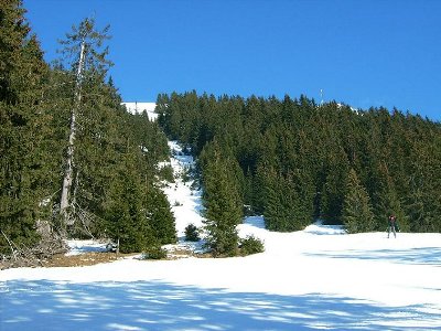 Verlief hier mal ein Lift zur hohen Salve? (früherer ESL, 2. Sektion?)