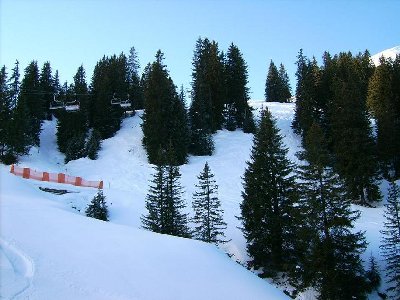 Blick direkt nach oben von der Talstation aus