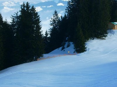 Hier kam der Kälbersalven-SL aus dem Wald herauf...