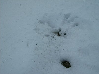 Fundentreste ragten aus dem Schnee - es müssen Portalstützen gewesen sein
