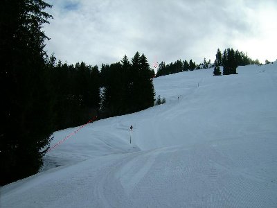 Oberer Verlauf des SL Ochsalm(meine Vermutung habe ich eingezeichnet)