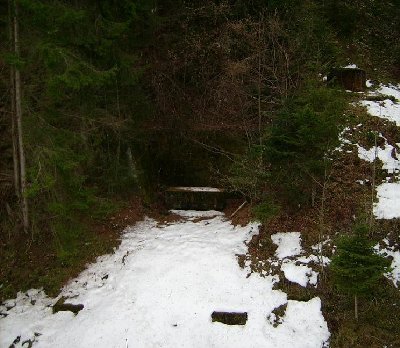 Bergstationsreste SL Ganslern