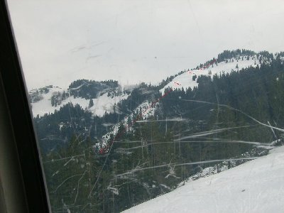 Blick von der Fleckalmbahn zum DSB Streifalm II - Hang