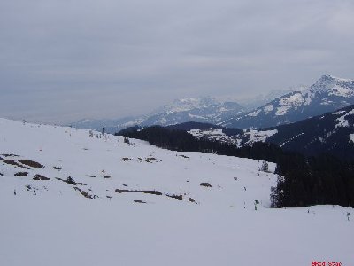 Almwiesen in Ellmau+ 6-KSB/B Almbahn