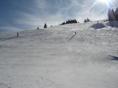 Blauer Hang am Schlepper Nummer 11